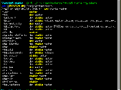 lsgit showing the Qt5 repository