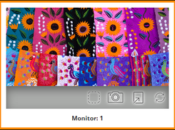GladivsSC 0.7 new functions in main window for capture