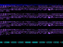 screen