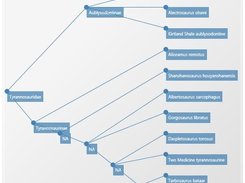 XML Tree Plot