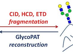 GlycoPAT