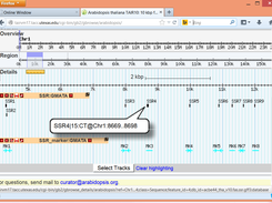 GMATA SSR and marker displaying