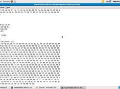 Basic Hex capturing information