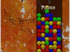 A paused game, with a low score