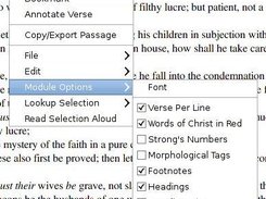 Module display options