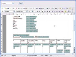 The template designer