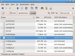 Nautilus List view with (some) SVN columns