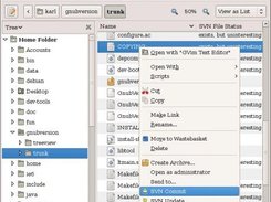 Context menu for a subversioned file