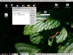 configuring feeds