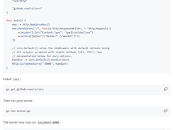 Go CORS handler Screenshot 1