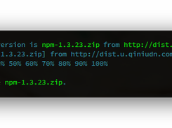 gnvm install npm