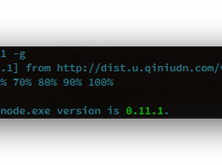 gnvm install