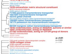 Gene Ontology categories positively (red) and negatively (blue) associated with coral heat tolerance.