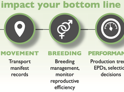 Choose leading KPIs that impact your bottom line