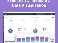 Executive Dashboard