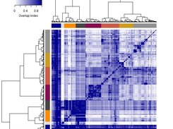Heatmap with overlap index
