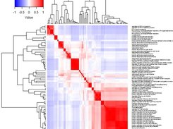 Heatmap of GO terms