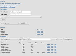 OLAP report generator