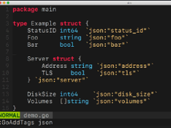 gomodifytags Screenshot 1