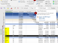 Filter all predecessor and successor logic for your entire project. No more guessing what the driving tasks are!