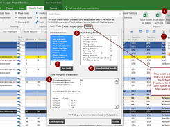 Audit your schedule based on 11 points deterimed by the U.S. Government Accountability Office plus check your global MS Project options for best practices.