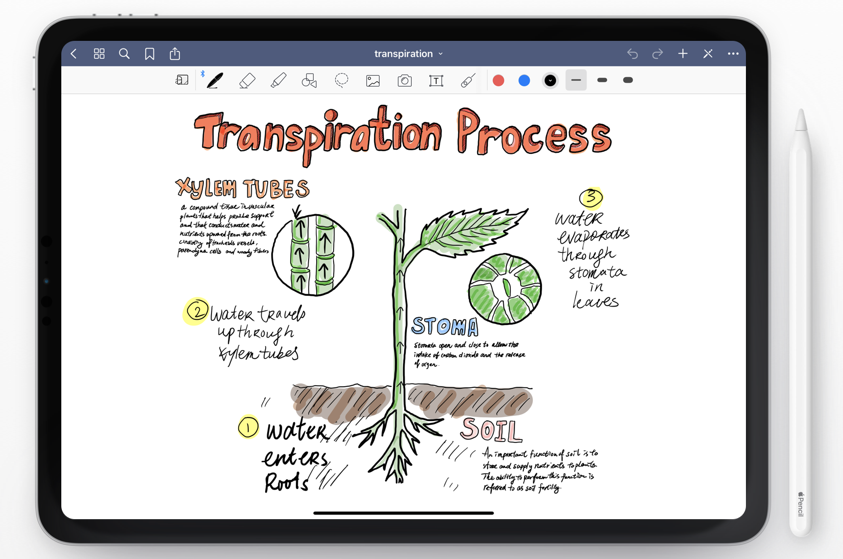 onenote vs goodnotes 5 onenote vs goodnotes 5
