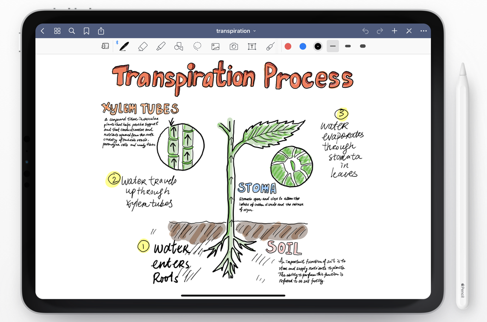 GoodNotes Screenshot 1