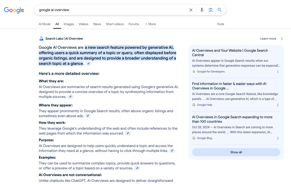 Google AI Overviews Screenshot 1