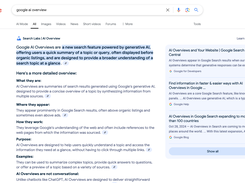Google AI Overviews Screenshot 1