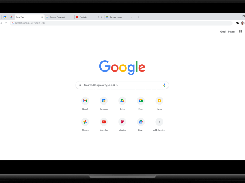 Google Chrome Screenshot 1