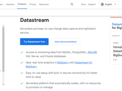 Google Cloud Datastream Screenshot 1