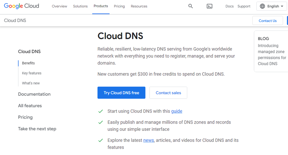 Google Cloud DNS Screenshot 1