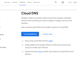 Google Cloud DNS Screenshot 1