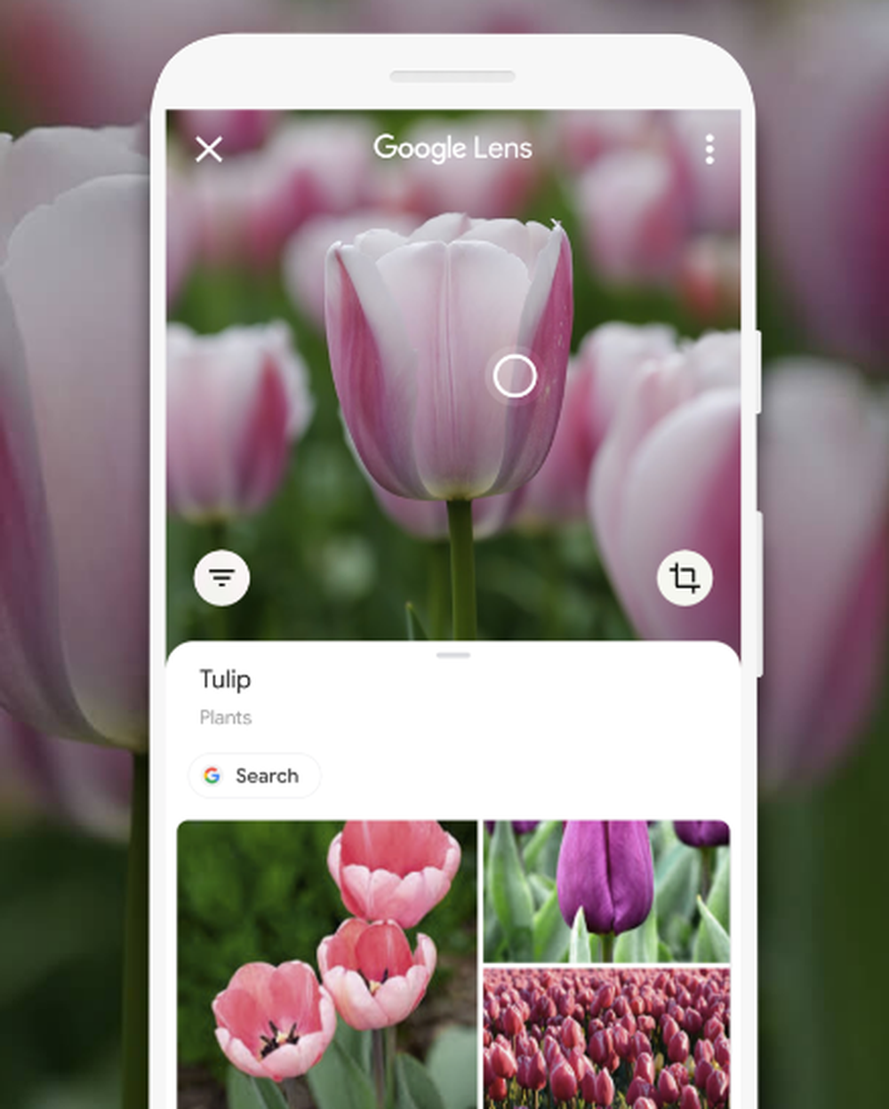 Google Lens Screenshot 1