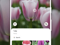 Google Lens Screenshot 1