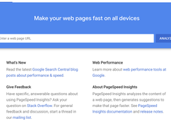 Google PageSpeed Insights Screenshot 1