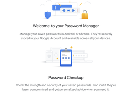 Google Password Manager Screenshot 1