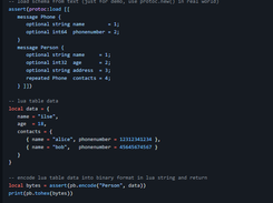 Google protobuf support for Lua Screenshot 2