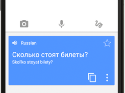 Google Translate Screenshot 1