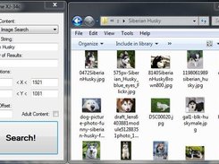 Program interface + result of execution