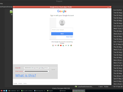 Entry screen once you have put client id and client secret 