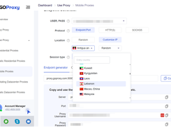 Easy-to-Use Proxy Dashboard