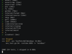 gotestsum Screenshot 1