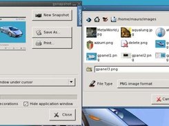 gsnapshot - screen capture (shown with save file dialog)