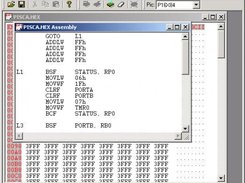 Assembly code view