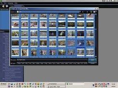 Open dialog 3