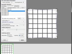 distortion correction with polynomials / functions