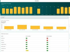 Dashboards Maturity Assessment