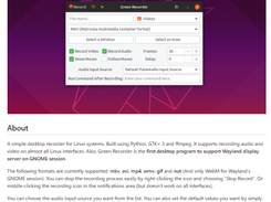 Green Recorder Screenshot 1
