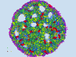 Density based representation of a lipid nano-particle. Shown as a scross-sectional slab in ParaView.